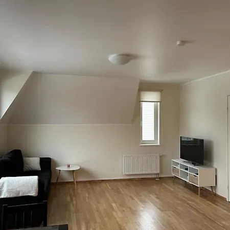 Avar Roduga Korter Vaikses Kesklinnas