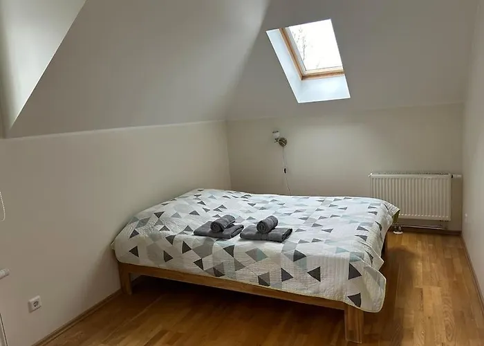 Avar Roduga Korter Vaikses Kesklinnas