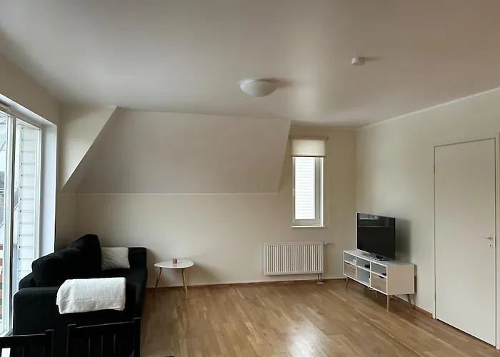 Avar Roduga Korter Vaikses Kesklinnas